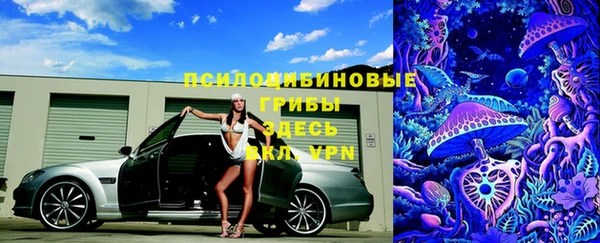 мдпв Белокуриха